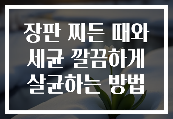 장판 찌든 때와 세균 깔끔하게 살균하는 방법