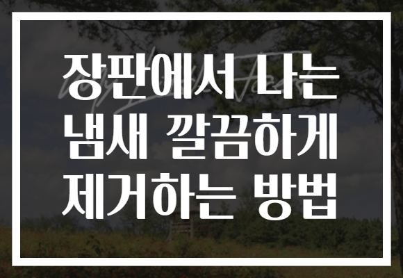 장판에서 나는 냄새 깔끔하게 제거하는 방법