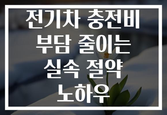 전기차 충전비 부담 줄이는 실속 절약 노하우