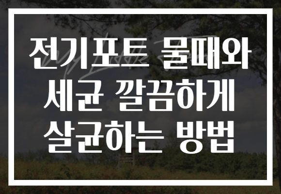 전기포트 물때와 세균 깔끔하게 살균하는 방법