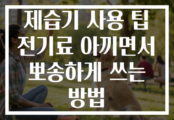 제습기 사용 팁 전기료 아끼면서 뽀송하게 쓰는 방법