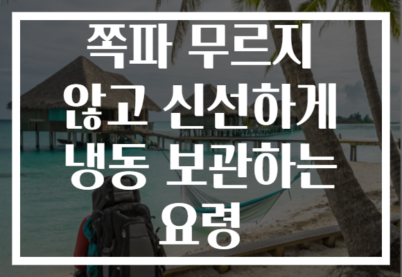 쪽파 무르지 않고 신선하게 냉동 보관하는 요령