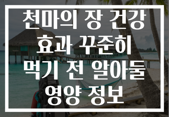 천마의 장 건강 효과 꾸준히 먹기 전 알아둘 영양 정보