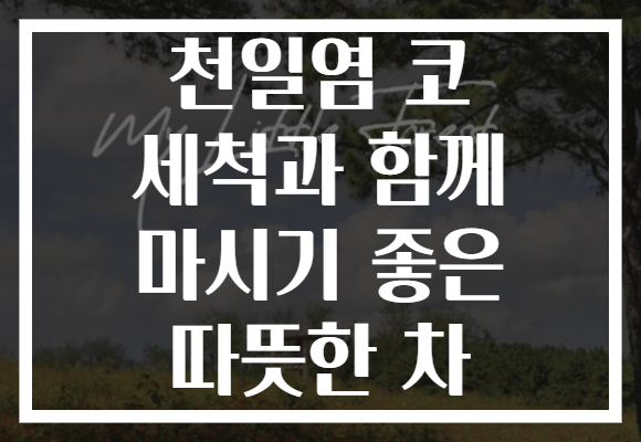 천일염 코 세척과 함께 마시기 좋은 따뜻한 차