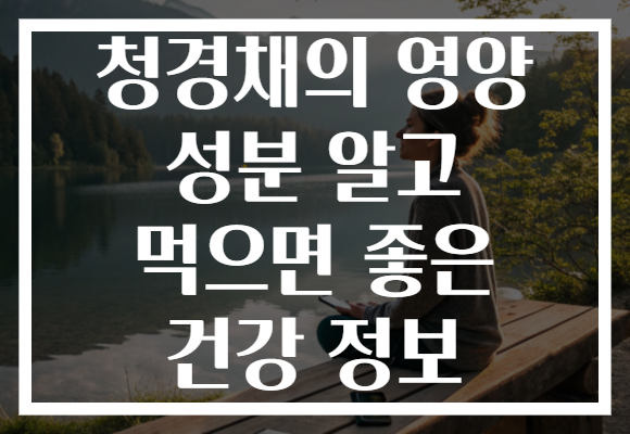 청경채의 영양 성분 알고 먹으면 좋은 건강 정보