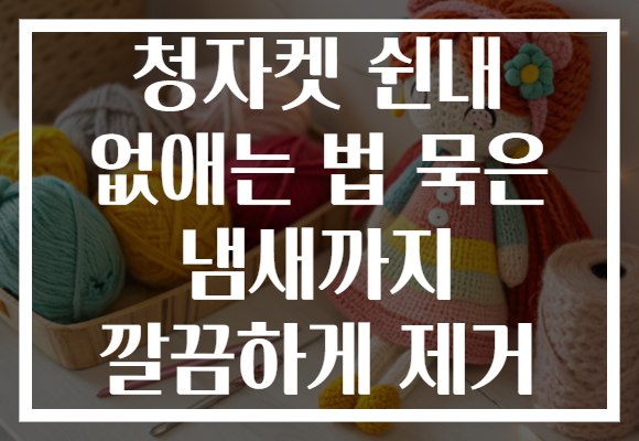 청자켓 쉰내 없애는 법 묵은 냄새까지 깔끔하게 제거
