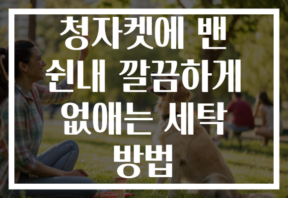 청자켓에 밴 쉰내 깔끔하게 없애는 세탁 방법