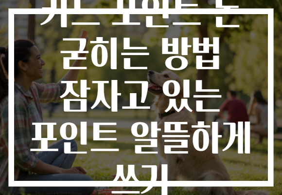 카드 포인트 돈 굳히는 방법 잠자고 있는 포인트 알뜰하게 쓰기