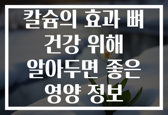 칼슘의 효과 뼈 건강 위해 알아두면 좋은 영양 정보