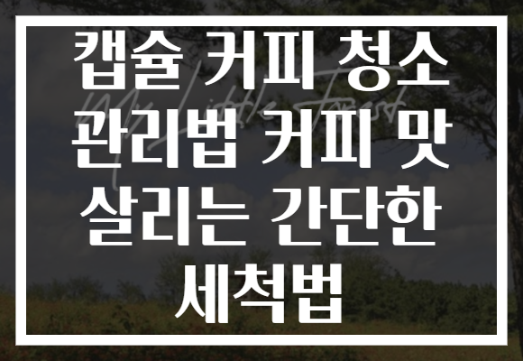 캡슐 커피 청소 관리법 커피 맛 살리는 간단한 세척법