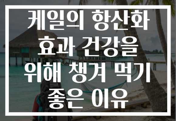 케일의 항산화 효과 건강을 위해 챙겨 먹기 좋은 이유