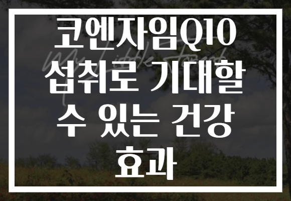 코엔자임Q10 섭취로 기대할 수 있는 건강 효과
