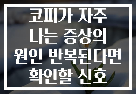 코피가 자주 나는 증상의 원인 반복된다면 확인할 신호