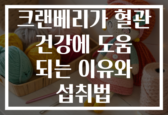 크랜베리가 혈관 건강에 도움 되는 이유와 섭취법