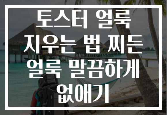 토스터 얼룩 지우는 법 찌든 얼룩 말끔하게 없애기