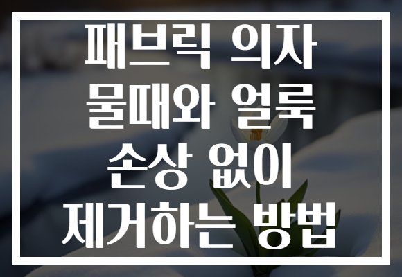 패브릭 의자 물때와 얼룩 손상 없이 제거하는 방법