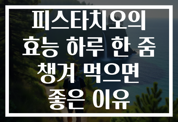 피스타치오의 효능 하루 한 줌 챙겨 먹으면 좋은 이유