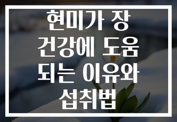 현미가 장 건강에 도움 되는 이유와 섭취법