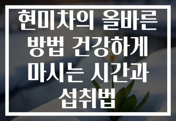 현미차의 올바른 방법 건강하게 마시는 시간과 섭취법