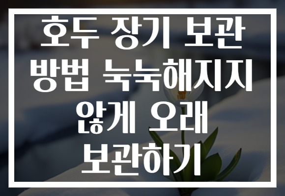 호두 장기 보관 방법 눅눅해지지 않게 오래 보관하기