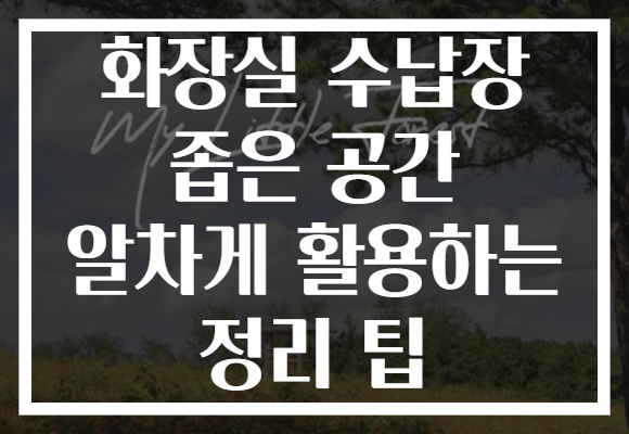 화장실 수납장 좁은 공간 알차게 활용하는 정리 팁
