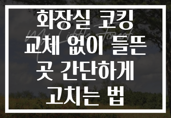 화장실 코킹 교체 없이 들뜬 곳 간단하게 고치는 법