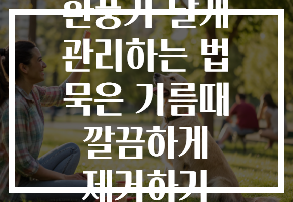 환풍기 날개 관리하는 법 묵은 기름때 깔끔하게 제거하기