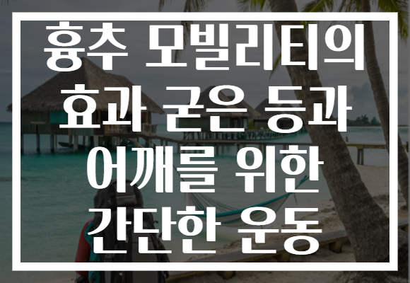흉추 모빌리티의 효과 굳은 등과 어깨를 위한 간단한 운동