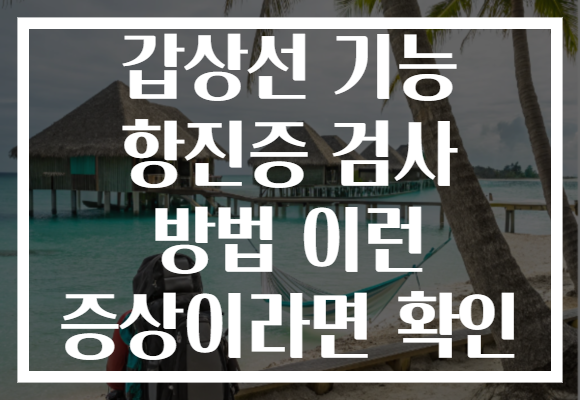 갑상선 기능 항진증 검사 방법 이런 증상이라면 확인