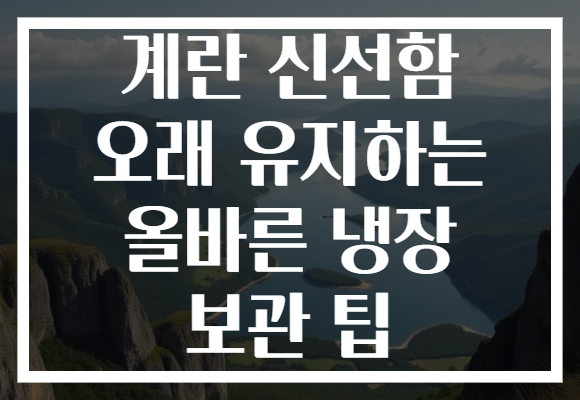 계란 신선함 오래 유지하는 올바른 냉장 보관 팁