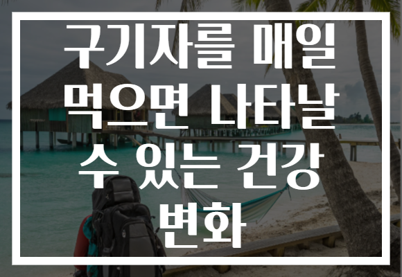 구기자를 매일 먹으면 나타날 수 있는 건강 변화