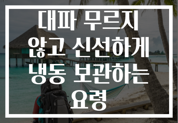 대파 무르지 않고 신선하게 냉동 보관하는 요령