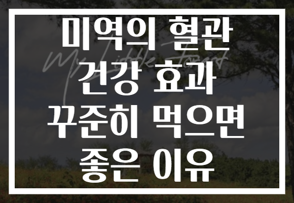 미역의 혈관 건강 효과 꾸준히 먹으면 좋은 이유
