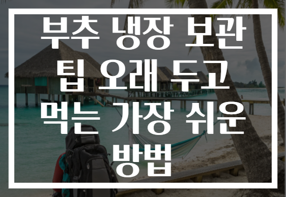 부추 냉장 보관 팁 오래 두고 먹는 가장 쉬운 방법