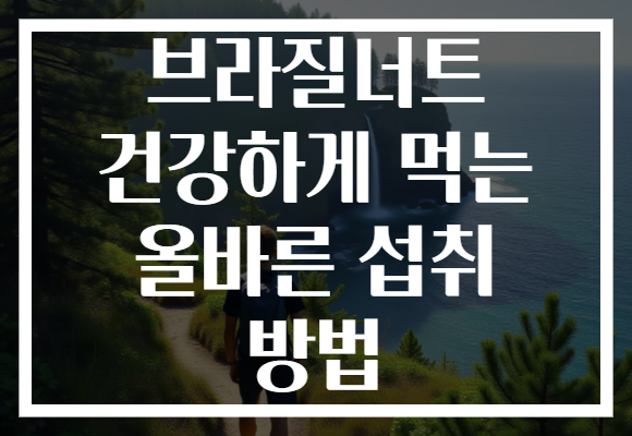 브라질너트 건강하게 먹는 올바른 섭취 방법