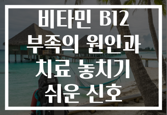 비타민 B12 부족의 원인과 치료 놓치기 쉬운 신호
