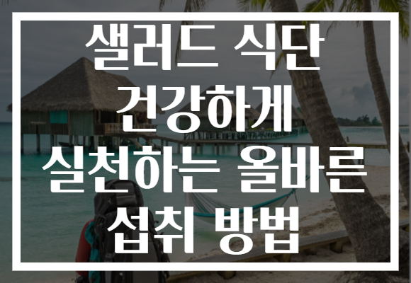 샐러드 식단 건강하게 실천하는 올바른 섭취 방법