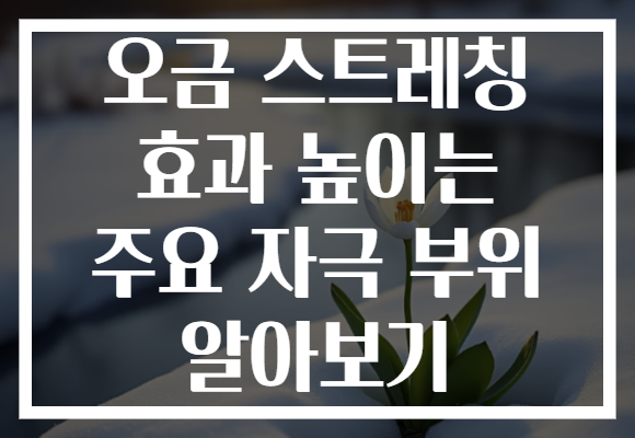 오금 스트레칭 효과 높이는 주요 자극 부위 알아보기
