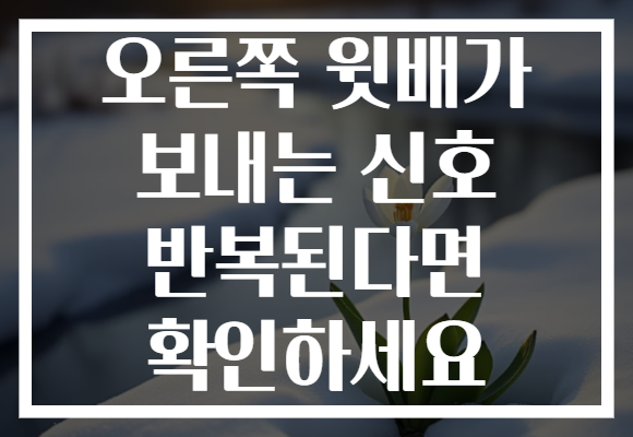 오른쪽 윗배가 보내는 신호 반복된다면 확인하세요