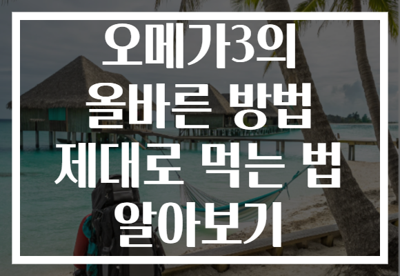 오메가3의 올바른 방법 제대로 먹는 법 알아보기
