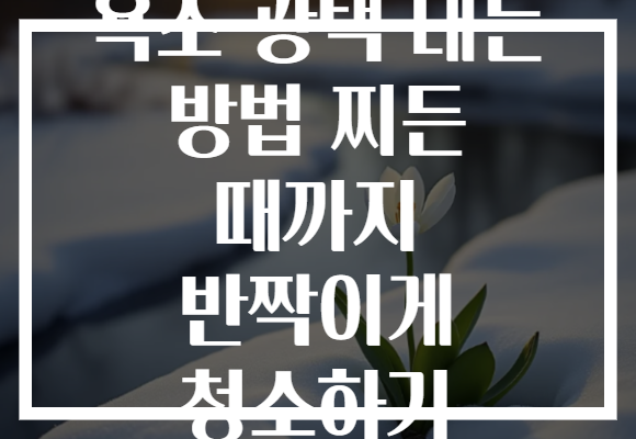 욕조 광택 내는 방법 찌든 때까지 반짝이게 청소하기