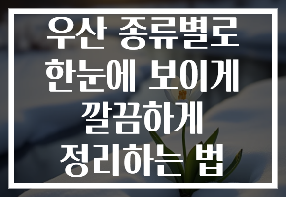 우산 종류별로 한눈에 보이게 깔끔하게 정리하는 법