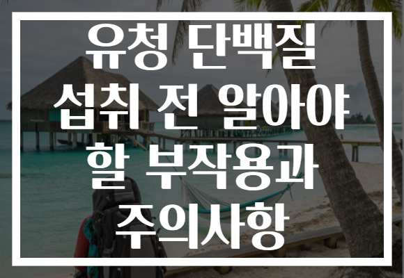 유청 단백질 섭취 전 알아야 할 부작용과 주의사항