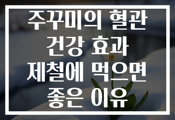 주꾸미의 혈관 건강 효과 제철에 먹으면 좋은 이유