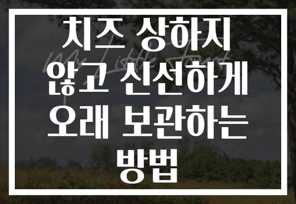 치즈 상하지 않고 신선하게 오래 보관하는 방법
