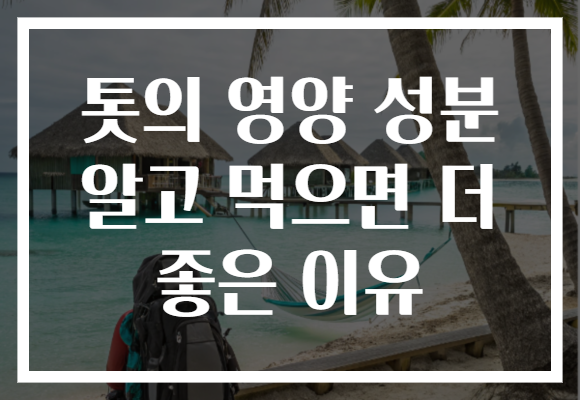 톳의 영양 성분 알고 먹으면 더 좋은 이유