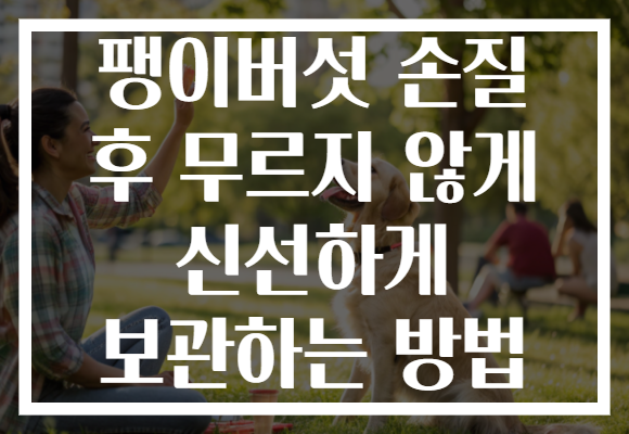 팽이버섯 손질 후 무르지 않게 신선하게 보관하는 방법