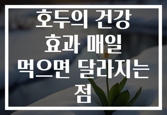 호두의 건강 효과 매일 먹으면 달라지는 점