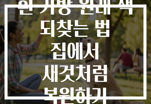 흰 가방 원래 색 되찾는 법 집에서 새것처럼 복원하기