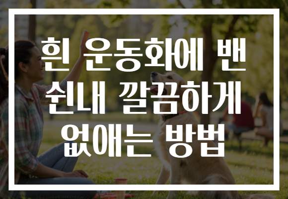 흰 운동화에 밴 쉰내 깔끔하게 없애는 방법